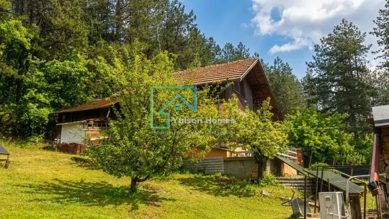 Forest Corner - Lovech - thumbnail 17