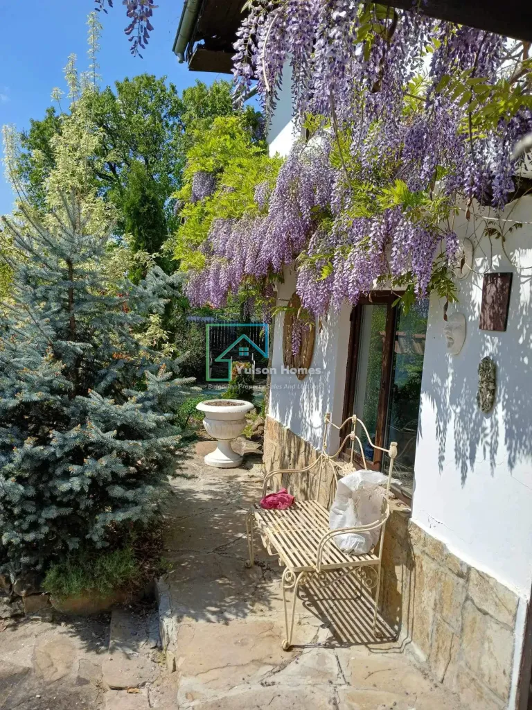 Peacock House - Bukovets V.T - thumbnail 19