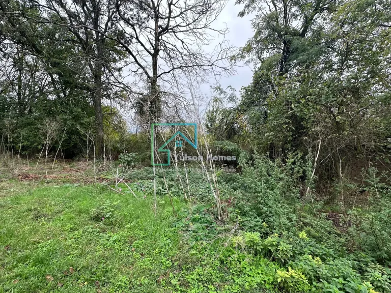 Whispering Woodland Retreat - Lomtsi in Lomtsi