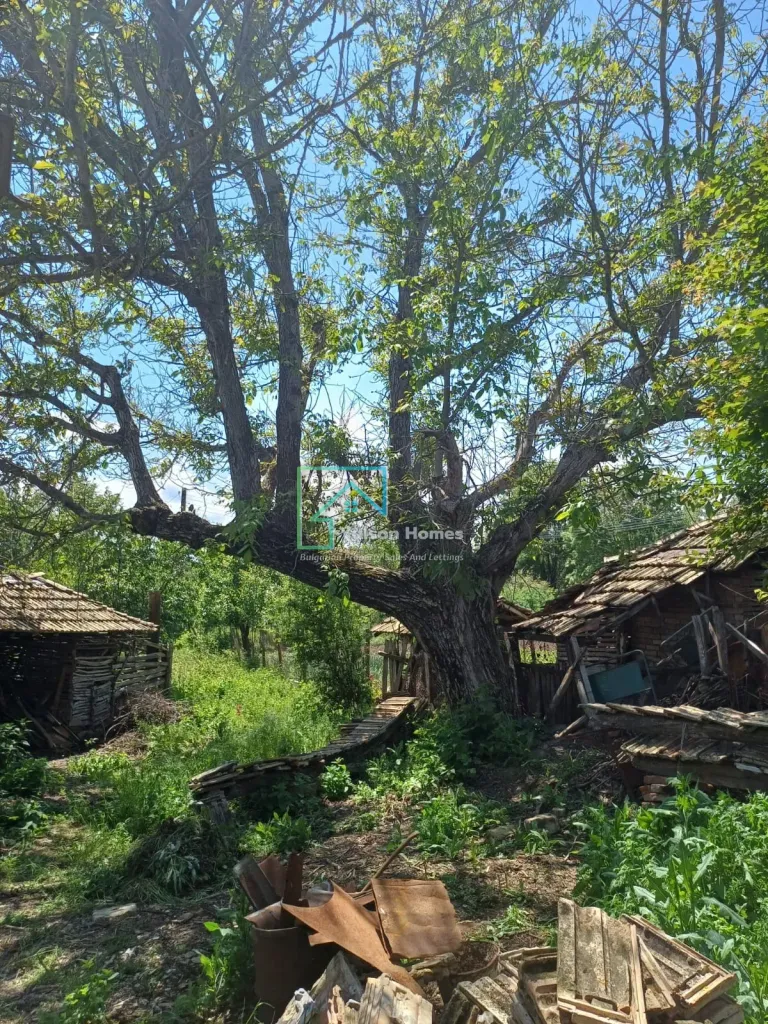 The Old Winery House - Kardam - thumbnail 12
