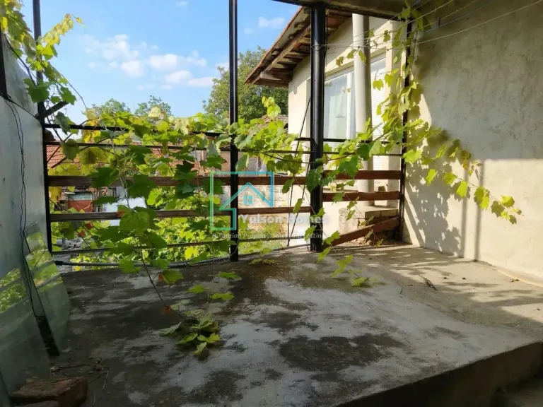 Ivy House - Mogilino - thumbnail 14