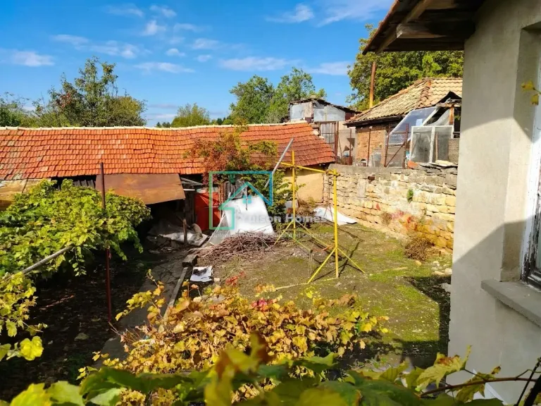 Ivy House - Mogilino - thumbnail 19