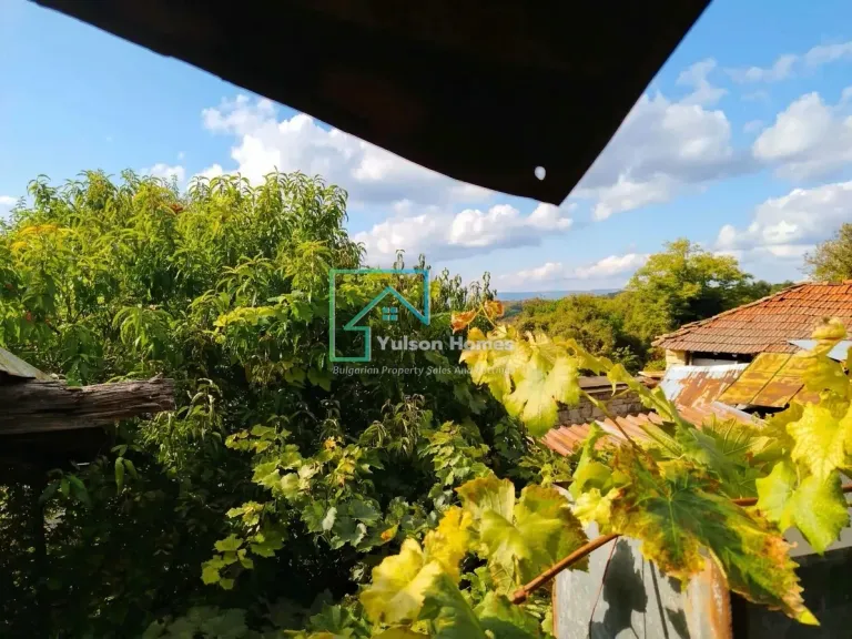 Ivy House - Mogilino - thumbnail 22